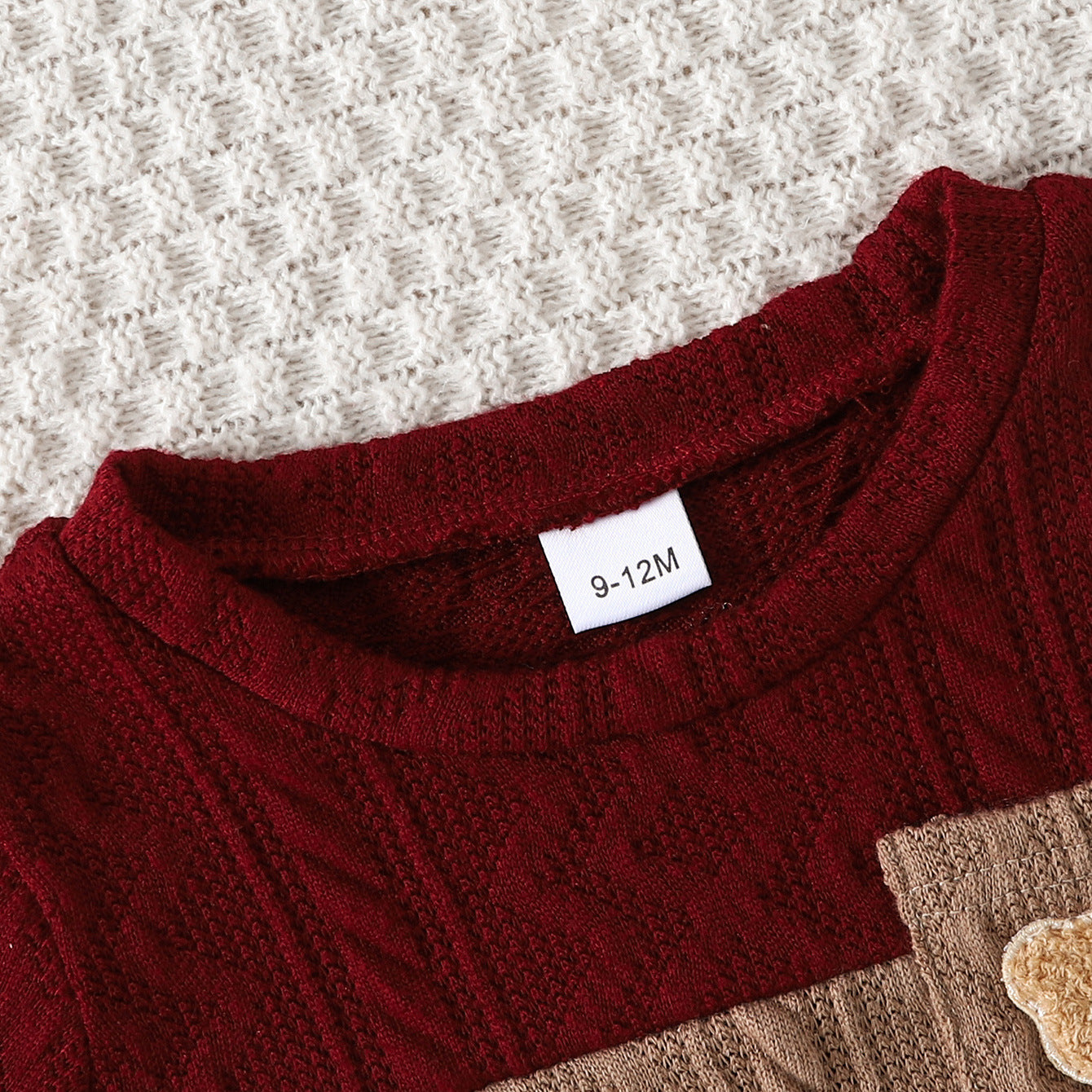 Color-block Crewneck Long-sleeve With Bear Patch